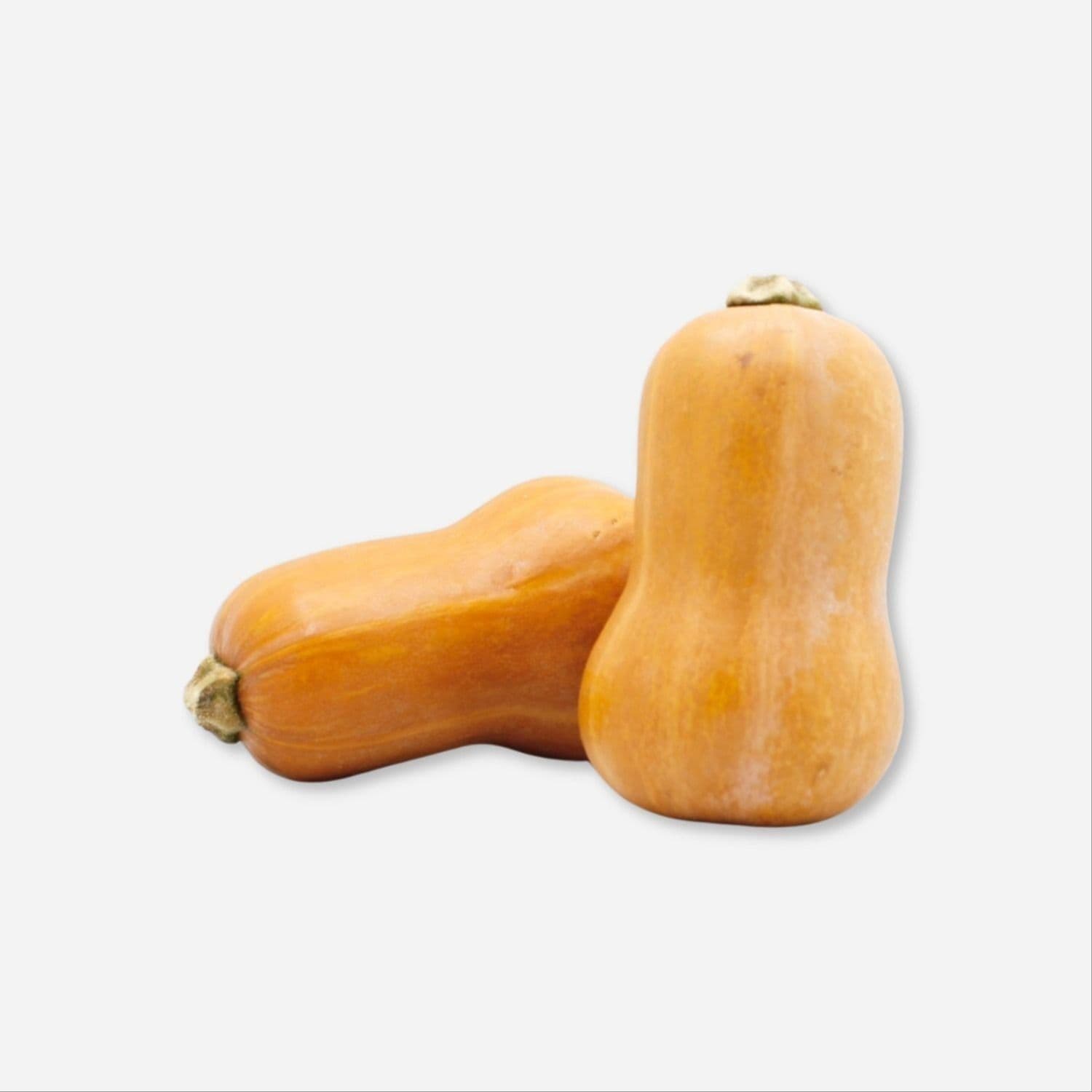 Organic Honeynut Squash