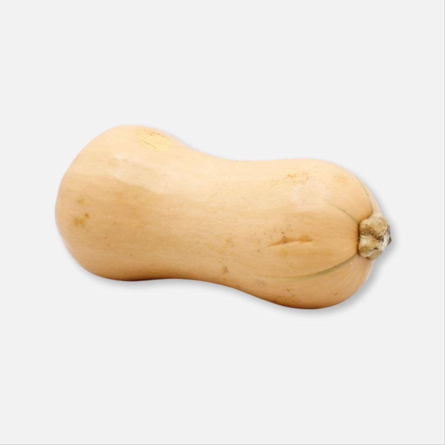 Organic Butternut Squash